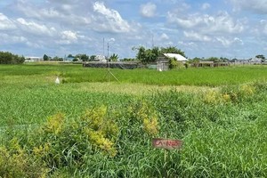 Ho Chi Minh City urgently develops land price adjustment coefficients