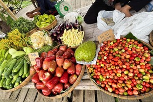 Rural market on Tan Thuan Dong Islet revitalizes local livelihoods