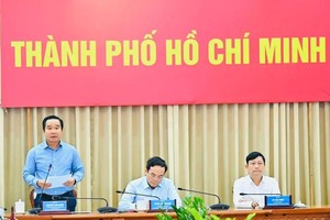 Ho Chi Minh City mobilizes resources for further development