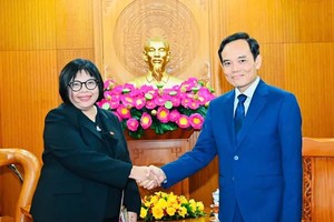 Ho Chi Minh City promotes cooperation with Indonesia across multiple sectors