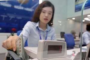 Vietnam ready for Lunar New Year remittance inflows