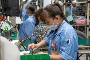 Vietnamese firms drive industrial shift
