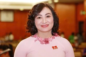 Vietnam’s industry and trade powers growth and energy security: Deputy Minister