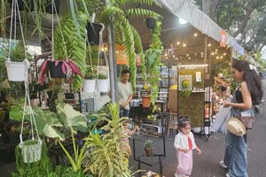 Bonsai, ornamental fish bring both ecological and economic value in HCMC 