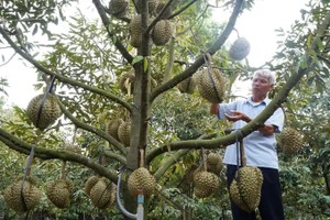 Vietnam’s agro-forestry-fishery exports surpass US$70 billion in 2025