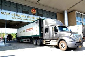 Vietnam moves to resolve food safety inspection bottlenecks at borders