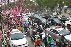 PM orders action against fare hikes, traffic violations ahead of Tet travel rush