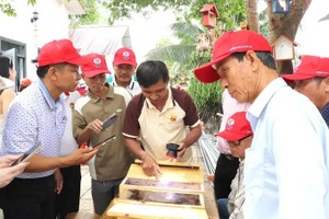 Linked production models boost farmers’ incomes and open export opportunities