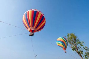 Hot air balloons and blossoms make Can Gio valentine’s day paradise