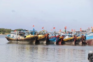 HCMC pushes toward 80 percent completion in fishing vessel tracking review
