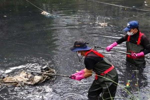 Young innovators and volunteers cultivate a greener Vietnam