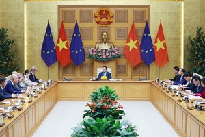 PM receives EU Ambassadors, Chargé d'affaires in Vietnam