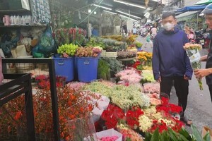 Flower markets bloom as prices surge ahead of International Women’s Day