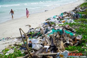 Global experts unite in Nha Trang to tackle marine plastic waste