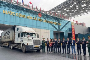 Weekend customs clearance pilot energizes Mong Cai–Dongxing border trade