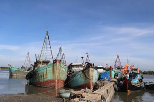 Ho Chi Minh City orders GPS tracking for all unqualified fishing vessels