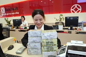 Household deposit increases, accounting for 40 percent in total raised capital