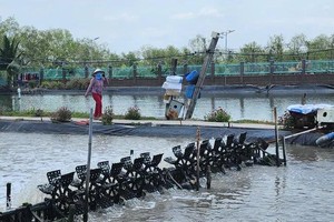 Ho Chi Minh City approves priority list for key agricultural sectors