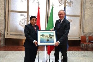 Favorable conditions sought for Vietnam–Italy business cooperation: Deputy PM