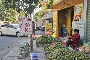 Fruit prices plunge in Ho Chi Minh City, but buyers stay away