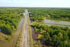 Experts urge use of “green capital” to build climate-resilient Mekong Delta