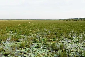 WWF Vietnam expands climate-resilient project in Mekong Delta