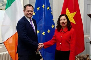 Vietnam, Ireland hold deputy foreign minister-level political consultation 