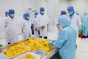 Food industry urged to shift from raw exports to value chain leadership