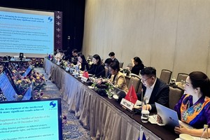 Vietnam reports 2025 strides at ASEAN working group’s meeting on IP