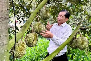 Farmers in HCMC boost yields with technology to earn billions of Vietnamese dong