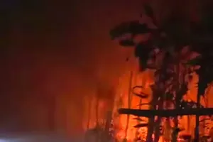 Over 200 personnel mobilized to extinguish forest fire in Nghe An