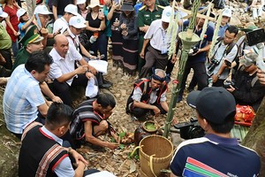 Gia Lai’s Jrai community honors sacred forest in annual ritual