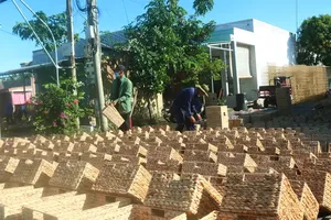 Dong Thap farmers boost livelihoods with water hyacinth harvest