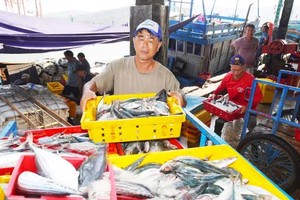 Central fishermen trade nomadic voyages for high-tech collectives