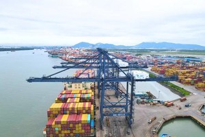 From mangroves to mega port: Cai Mep - Thi Vai’s rise