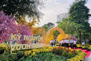 HCMC extends temporary park operation to boost green space amid vacant land