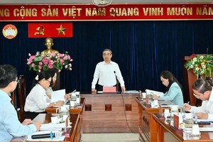 HCMC Fatherland Front urges Red Cross to shift toward proactive aid