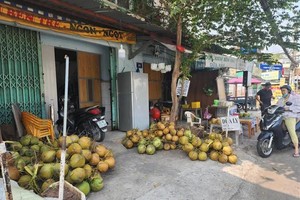 Coconut prices climb as demand outpaces supply in Ho Chi Minh City