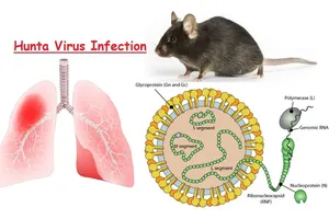 Vietnam tightens border controls following deadly Hanta virus outbreak on ship