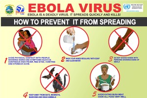 Ministry advises 21-day quarantine for travelers after Ebola strain resurgence 