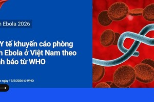 HCMC sounds alarm over Ebola, mandating strict border and hospital screening