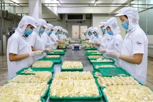 HCMC needs US$40 billion green transition funding as new decree takes effect