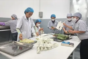 Cooperatives lead farmers into big league from local plots to export markets