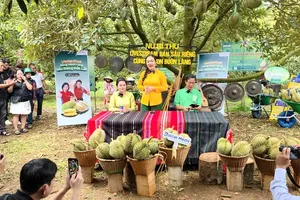 Digital transformation empowers farmers to capture value and control markets