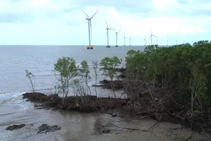 Mekong Delta faces escalating coastal and riverbank erosion amid rainy season