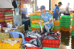 HCMC mandates electronic logbooks for 2,800 vessels to combat IUU fishing