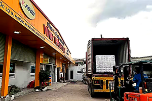 Vietnamese poultry eggs enter Japanese market
