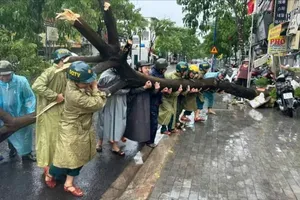 HCMC orders flood control and dyke safety measures ahead of 2026 storm season