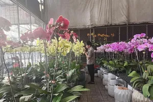 Digital skills to be promoted to build new generation of professional farmers