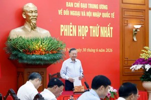 Foreign affairs should better serve national development: Top leader